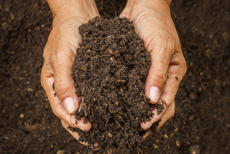 different types of soil copy
