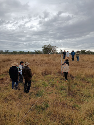 Bootcamp surveying