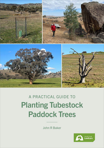 Planting Tubestock