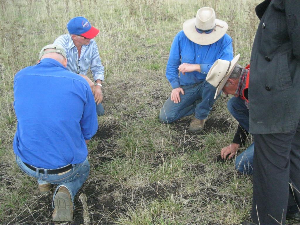 All the Dirt III at Urandangie Guyra 22 Apr 2016 l Copy