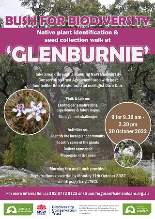 Flier Glenburnie Image 320p
