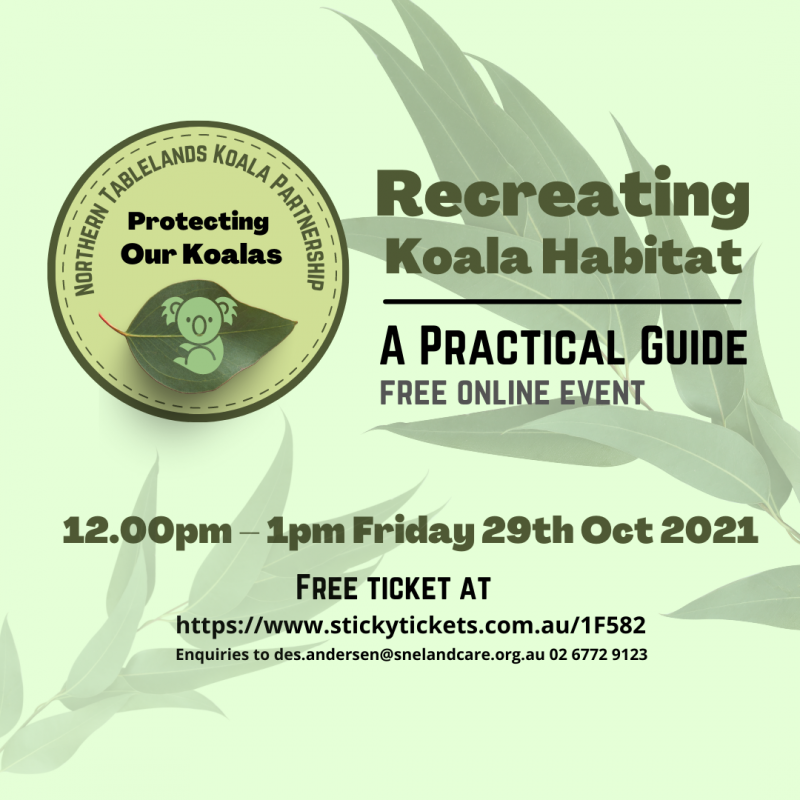 Webinar: Recreating Koala Habitat: a practical guide